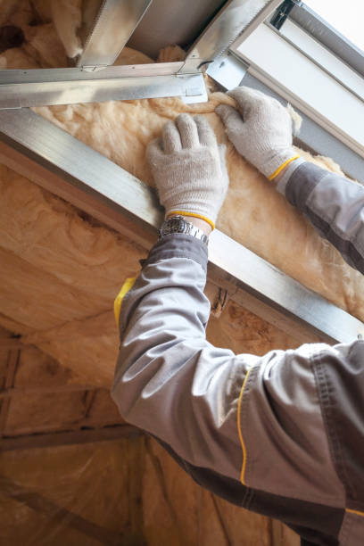 Best Spray Foam Insulation in Wells, NV