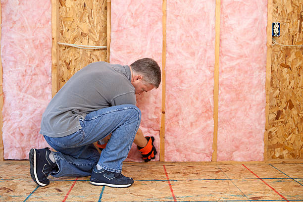 Best Cellulose Insulation in Wells, NV